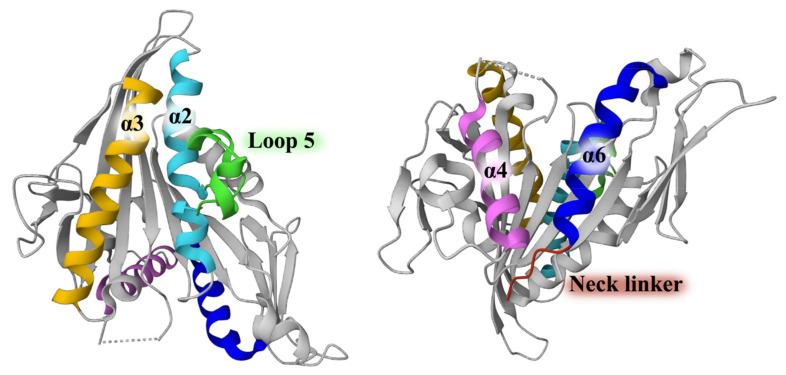 https://cdn.ncbi.nlm.nih.gov/pmc/blobs/85fc/11047945/8c66c4dfb3c3/biomolecules-14-00386-g001.jpg