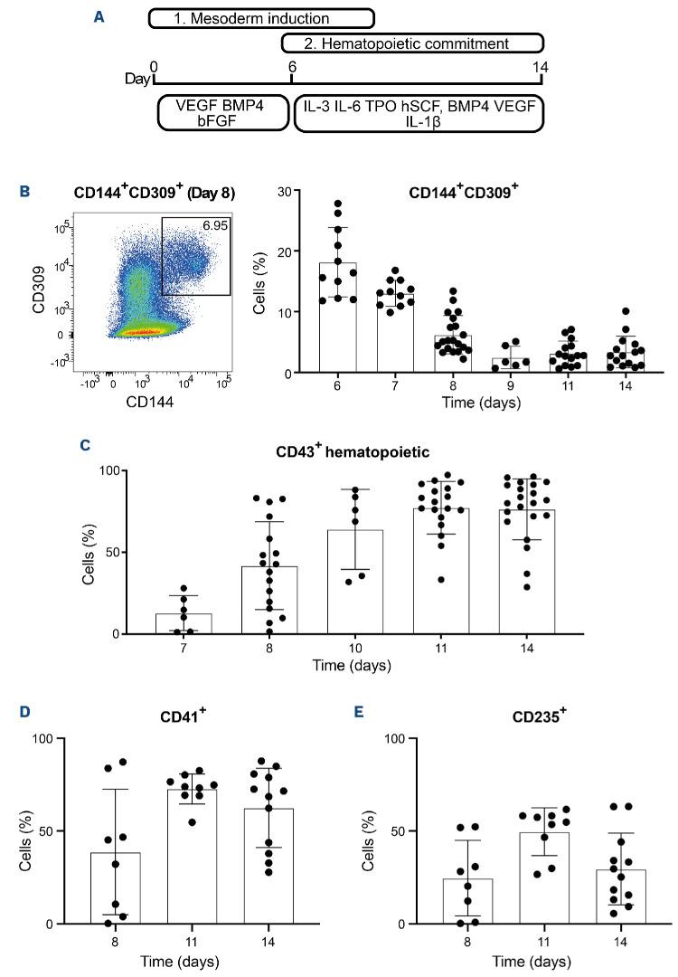 https://cdn.ncbi.nlm.nih.gov/pmc/blobs/8600/11609818/3a0921dc2818/1093975.fig1.jpg