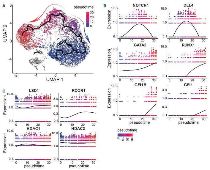 https://cdn.ncbi.nlm.nih.gov/pmc/blobs/8600/11609818/49e4849ca9b4/1093975.fig5.jpg