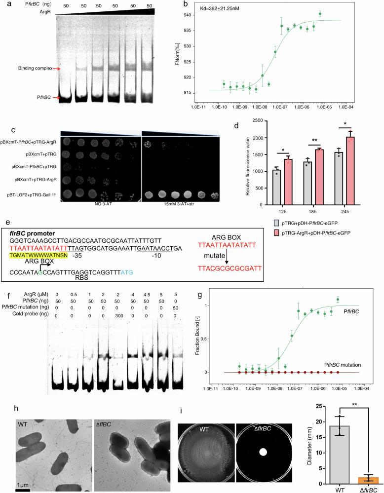 https://cdn.ncbi.nlm.nih.gov/pmc/blobs/8608/11688446/930befc16cab/42003_2024_7392_Fig2_HTML.jpg