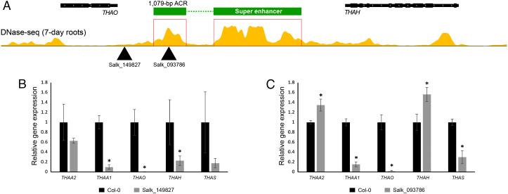https://cdn.ncbi.nlm.nih.gov/pmc/blobs/860d/9860255/3b1a9496ded3/pnas.2215328119fig07.jpg