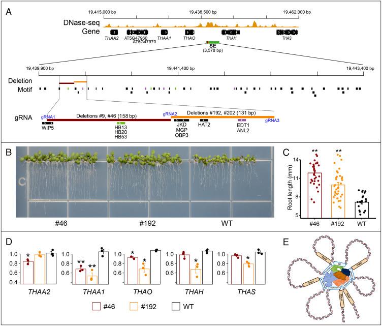https://cdn.ncbi.nlm.nih.gov/pmc/blobs/860d/9860255/8b87354df328/pnas.2215328119fig05.jpg