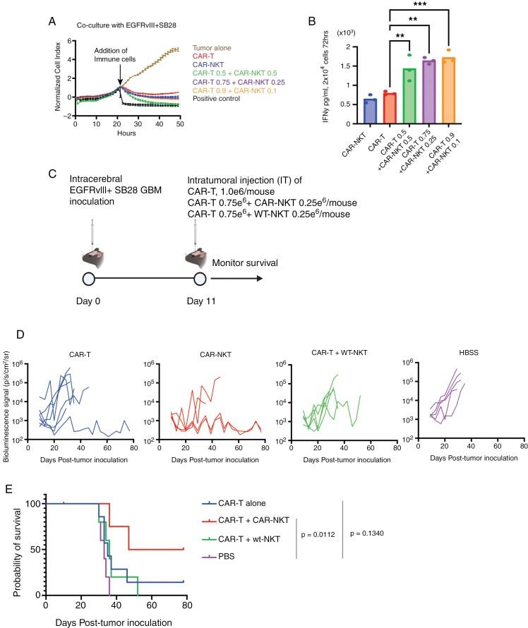 https://cdn.ncbi.nlm.nih.gov/pmc/blobs/8613/12080550/c8e054fd83aa/vdaf074_fig4.jpg