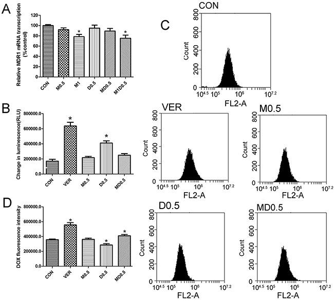 https://cdn.ncbi.nlm.nih.gov/pmc/blobs/8615/5352427/0a36da850580/oncotarget-08-8622-g003.jpg