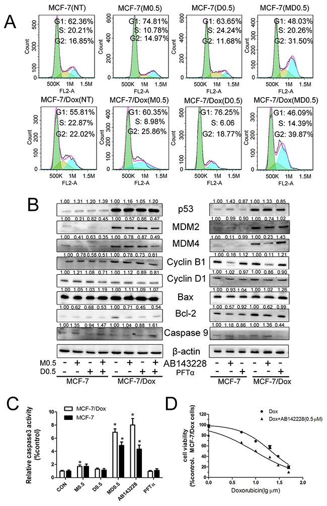 https://cdn.ncbi.nlm.nih.gov/pmc/blobs/8615/5352427/4fbaf9bf0560/oncotarget-08-8622-g002.jpg