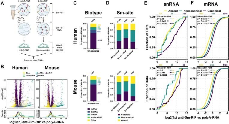 https://cdn.ncbi.nlm.nih.gov/pmc/blobs/8640/12359035/5df66e5efa25/gkaf794fig2.jpg
