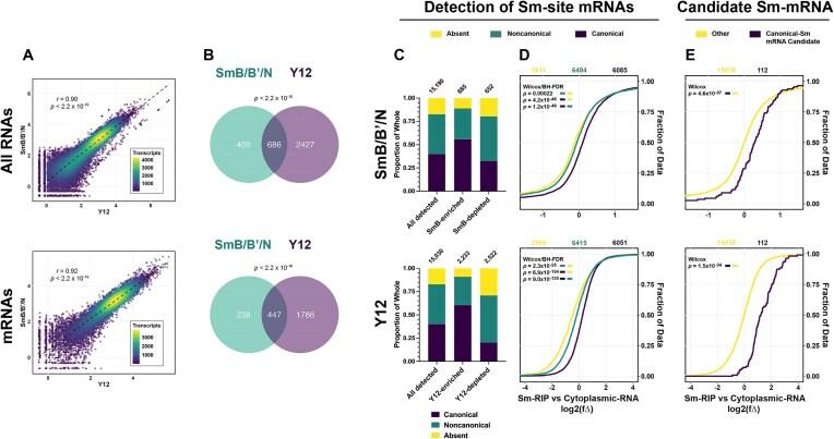 https://cdn.ncbi.nlm.nih.gov/pmc/blobs/8640/12359035/a7bef2527dc3/gkaf794fig5.jpg