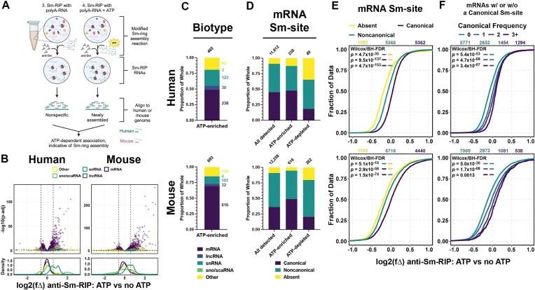 https://cdn.ncbi.nlm.nih.gov/pmc/blobs/8640/12359035/dc120c3b95d5/gkaf794fig3.jpg