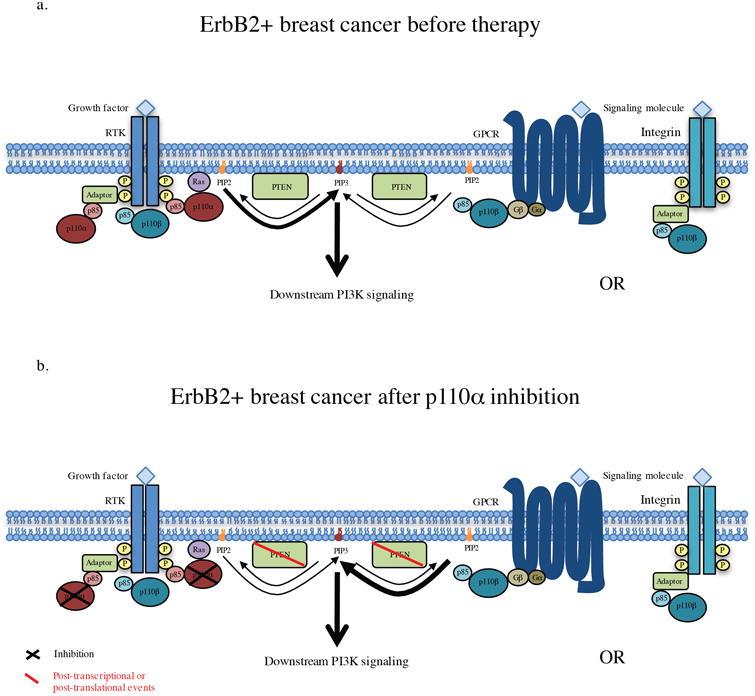 https://cdn.ncbi.nlm.nih.gov/pmc/blobs/8642/5808977/7c9e18712905/nihms888482f5.jpg