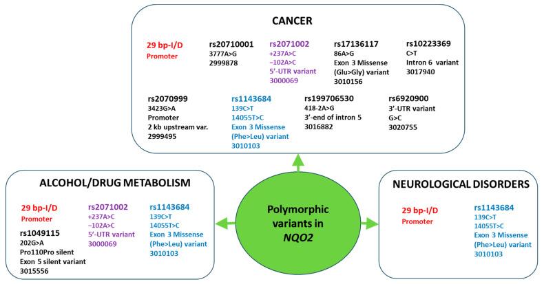 https://cdn.ncbi.nlm.nih.gov/pmc/blobs/8646/10815803/46bafc697150/genes-15-00087-g003.jpg