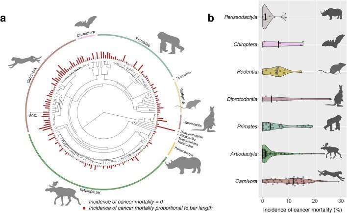 https://cdn.ncbi.nlm.nih.gov/pmc/blobs/8646/8755536/709dcbe10401/41586_2021_4224_Fig4_ESM.jpg