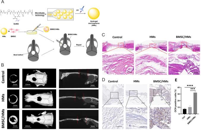 https://cdn.ncbi.nlm.nih.gov/pmc/blobs/8662/11681182/4c971132955b/bt-05-03-236-g002.jpg