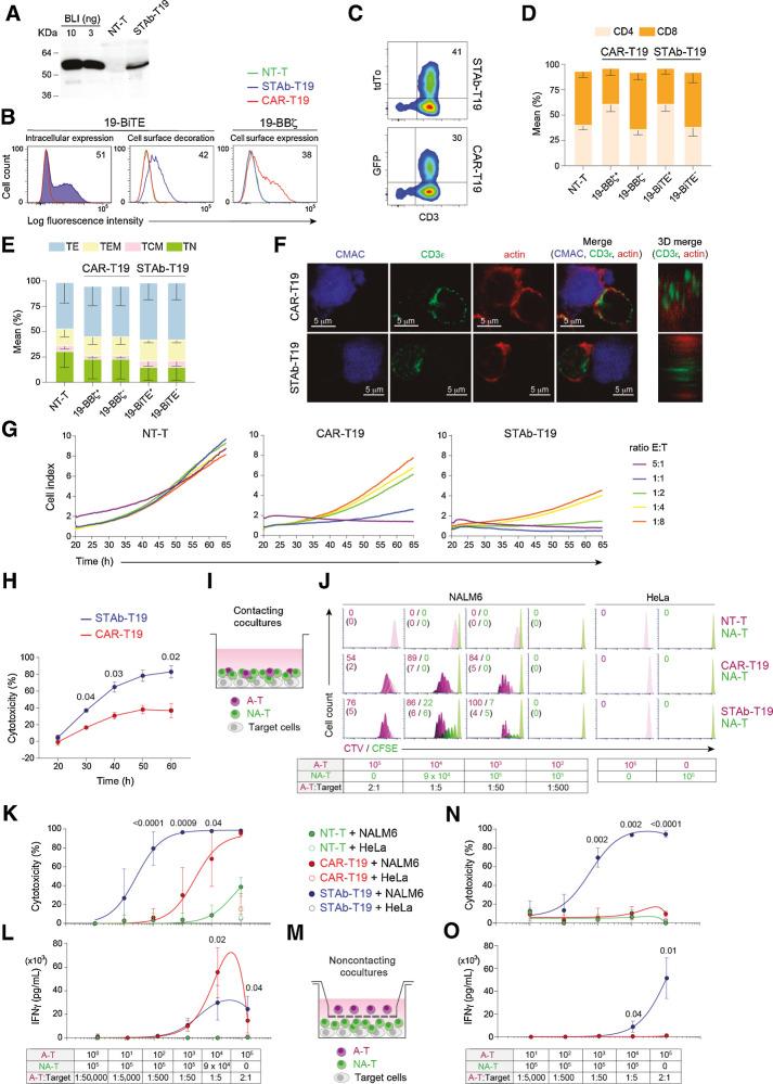 https://cdn.ncbi.nlm.nih.gov/pmc/blobs/8684/9355620/b6327cd13cb6/498fig1.jpg