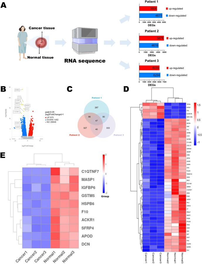 https://cdn.ncbi.nlm.nih.gov/pmc/blobs/869e/11453159/38dddb5a5a08/peerj-12-18157-g001.jpg