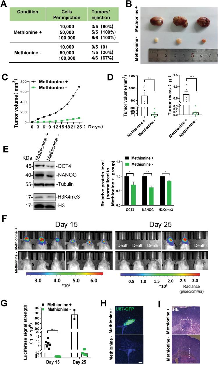 https://cdn.ncbi.nlm.nih.gov/pmc/blobs/86ab/11749232/b8e01b1d5238/lnad048_fig4.jpg