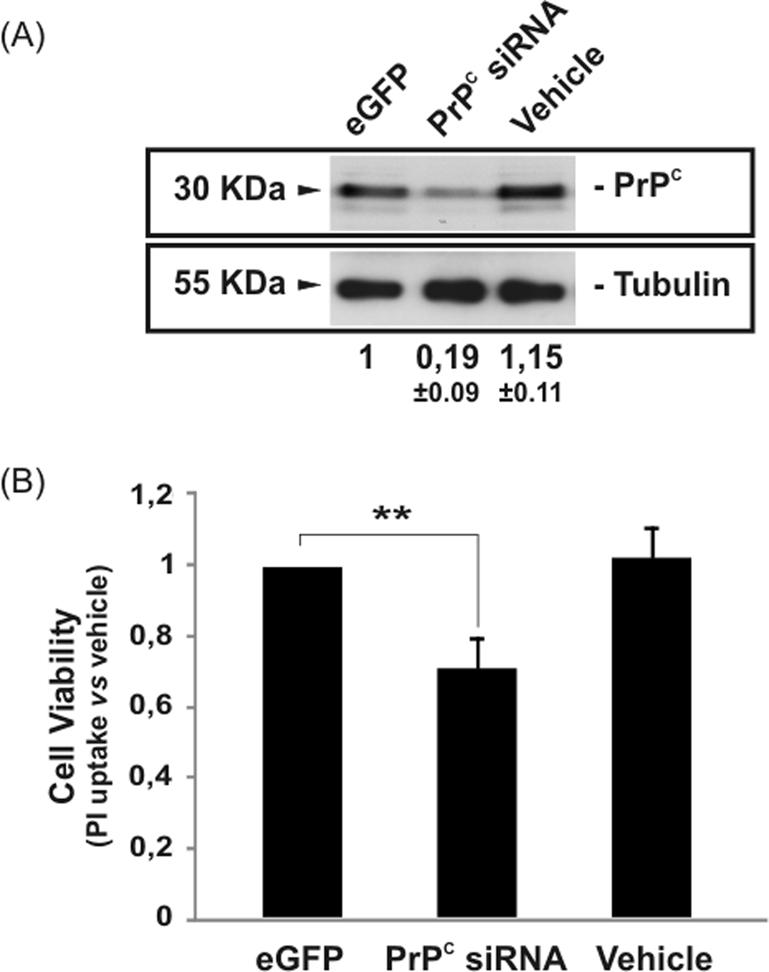https://cdn.ncbi.nlm.nih.gov/pmc/blobs/86e6/3164453/91bb5133cb23/3041fig2.jpg