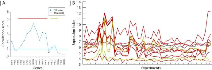 https://cdn.ncbi.nlm.nih.gov/pmc/blobs/86f6/5640693/d126f28202c0/synbio5-fig-0003.jpg