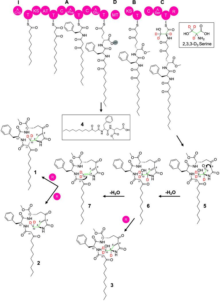 https://cdn.ncbi.nlm.nih.gov/pmc/blobs/8715/12403116/d6af729b5173/pnas.2504492122fig03.jpg