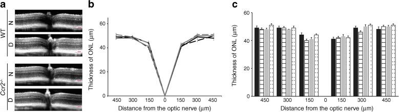 https://cdn.ncbi.nlm.nih.gov/pmc/blobs/8716/9892100/88919c542df7/125_2022_5860_Fig2_HTML.jpg