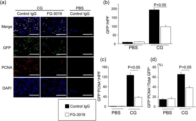 https://cdn.ncbi.nlm.nih.gov/pmc/blobs/8727/5511333/719d68afaab4/41598_2017_5624_Fig2_HTML.jpg