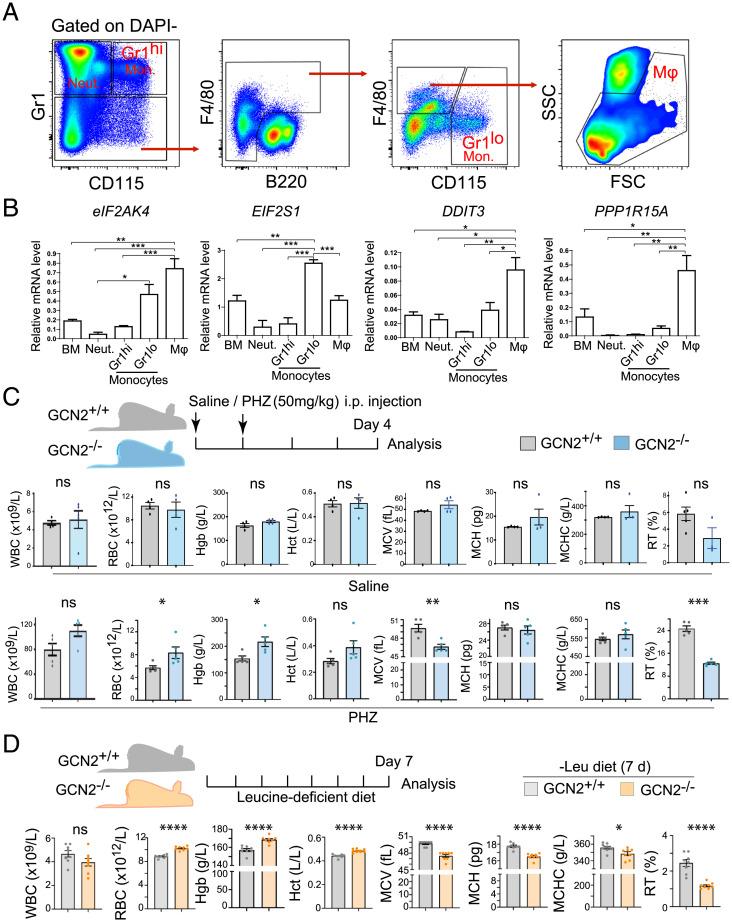 https://cdn.ncbi.nlm.nih.gov/pmc/blobs/8738/9436309/667f1f559c88/pnas.2121251119fig01.jpg