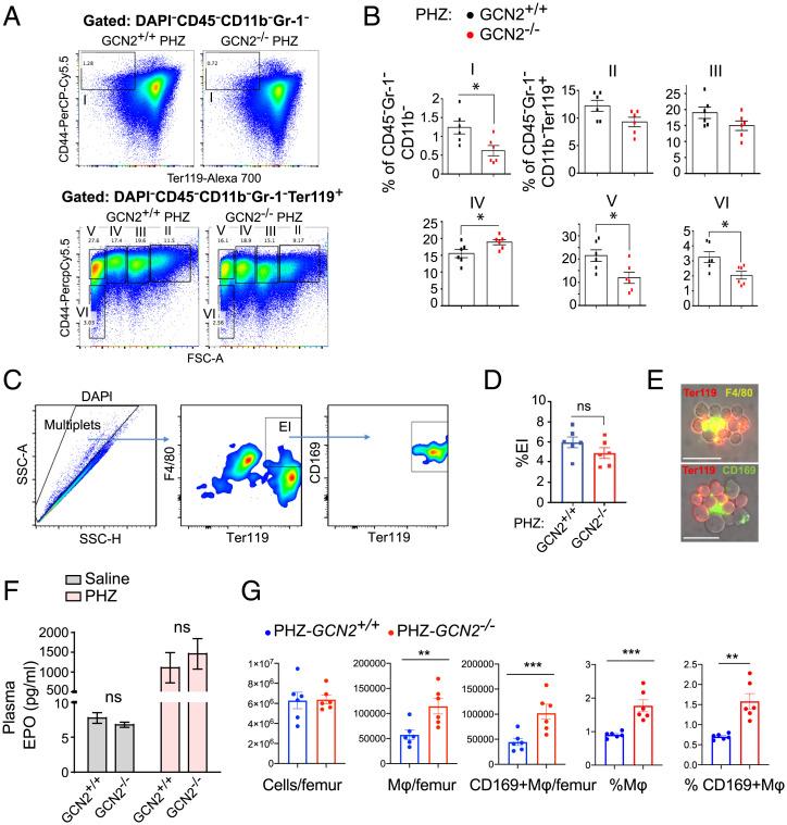 https://cdn.ncbi.nlm.nih.gov/pmc/blobs/8738/9436309/a9352603f880/pnas.2121251119fig02.jpg
