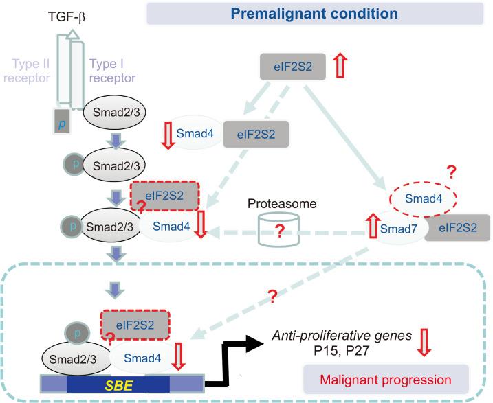https://cdn.ncbi.nlm.nih.gov/pmc/blobs/8739/11535292/7c1ee0718ea6/bt-32-6-767-f8.jpg