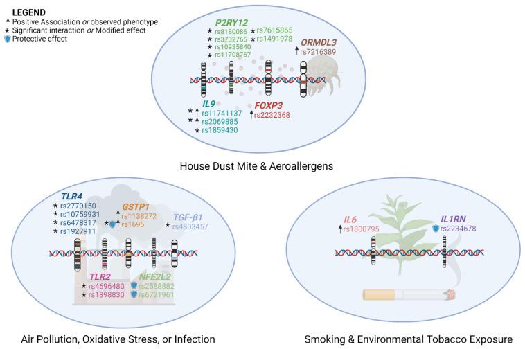 https://cdn.ncbi.nlm.nih.gov/pmc/blobs/873c/9601469/054df8ece5b3/genes-13-01870-g004.jpg