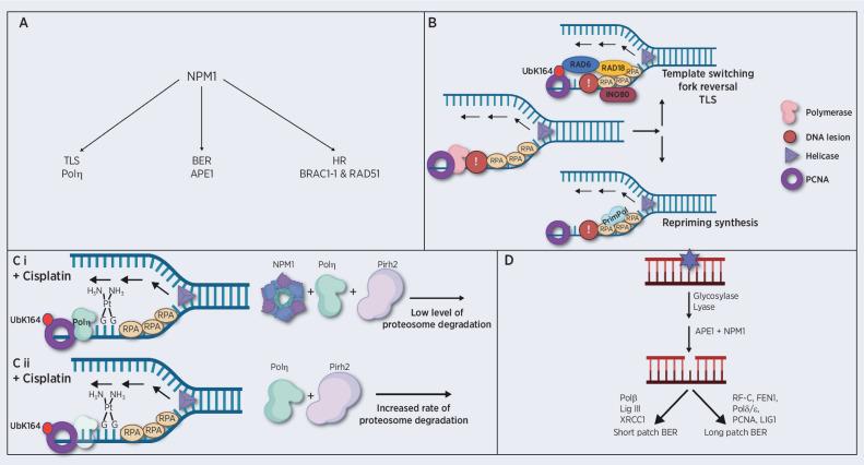 https://cdn.ncbi.nlm.nih.gov/pmc/blobs/8743/10183826/b04d29e21e3d/1573fig1.jpg