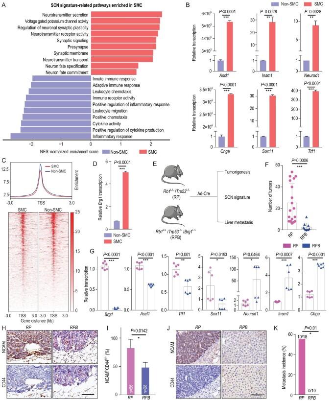 https://cdn.ncbi.nlm.nih.gov/pmc/blobs/8744/9365451/938408df953e/nwab232fig3.jpg
