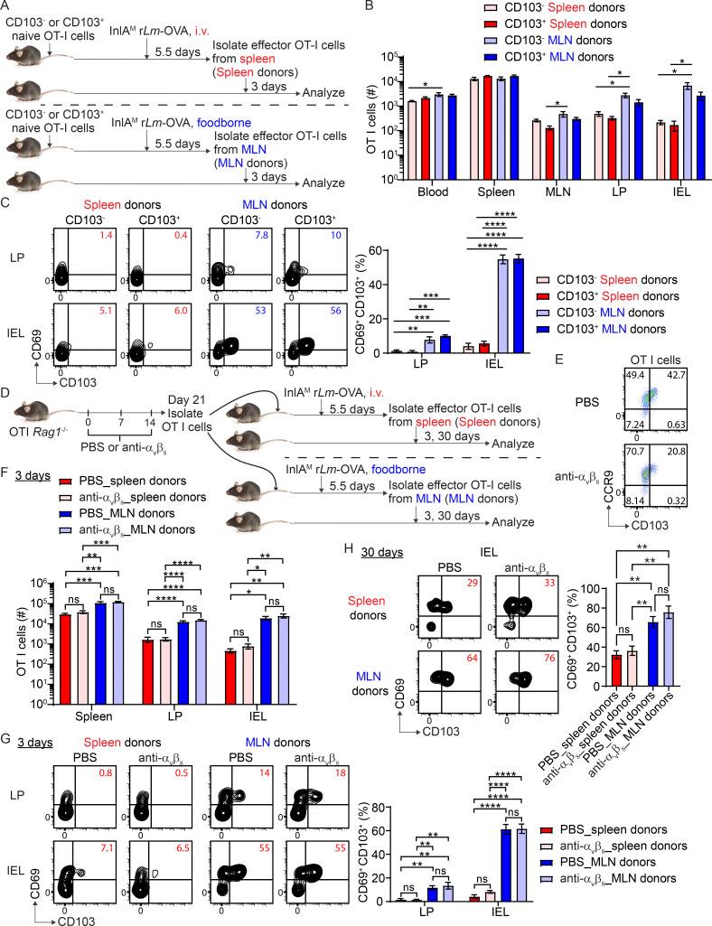 https://cdn.ncbi.nlm.nih.gov/pmc/blobs/876b/9960115/71a19475084f/JEM_20210923_Fig3.jpg