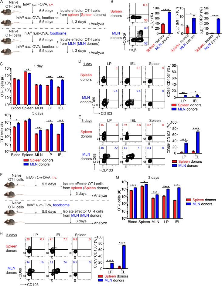https://cdn.ncbi.nlm.nih.gov/pmc/blobs/876b/9960115/bda15161e247/JEM_20210923_Fig1.jpg