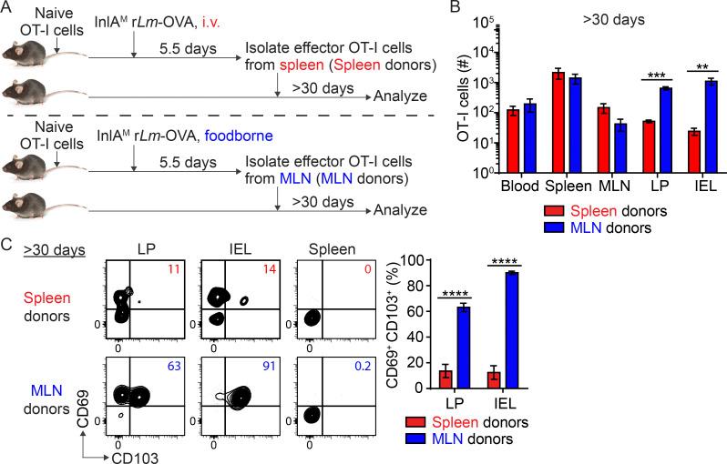 https://cdn.ncbi.nlm.nih.gov/pmc/blobs/876b/9960115/f44ed9246446/JEM_20210923_Fig2.jpg
