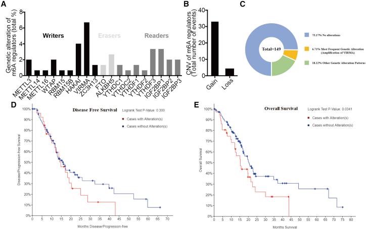 https://cdn.ncbi.nlm.nih.gov/pmc/blobs/8782/7256444/90ffffae73ae/gr1.jpg