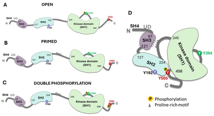 https://cdn.ncbi.nlm.nih.gov/pmc/blobs/87ac/11311849/0ecc6397cb26/cancers-16-02630-g002.jpg