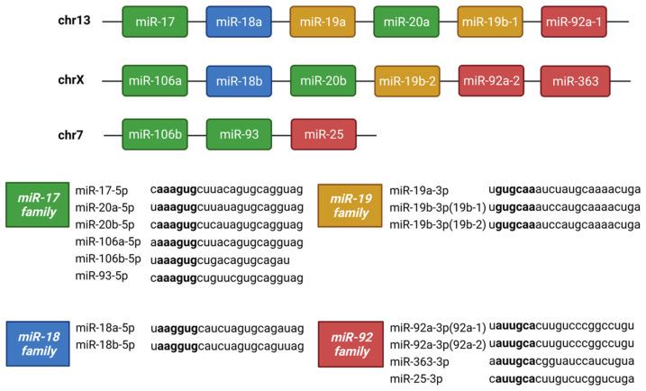 https://cdn.ncbi.nlm.nih.gov/pmc/blobs/87c9/11201560/34ff0337ad5d/cells-13-01060-g009.jpg