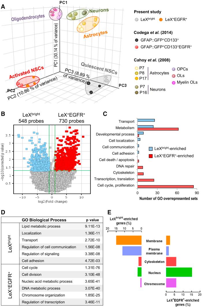 https://cdn.ncbi.nlm.nih.gov/pmc/blobs/87dc/6092681/9fe70ac824f4/gr2.jpg