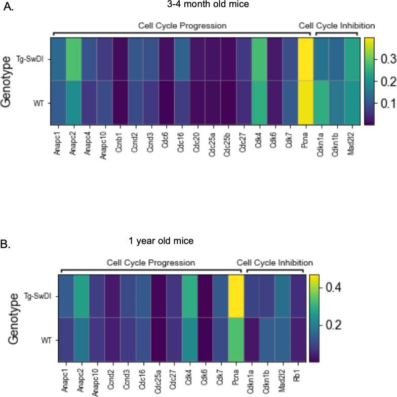 https://cdn.ncbi.nlm.nih.gov/pmc/blobs/87e3/9122497/1de7e9692886/elife-66037-fig5-figsupp3.jpg
