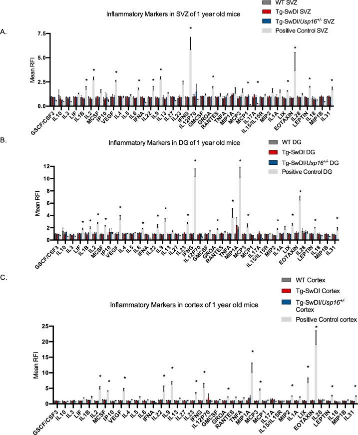 https://cdn.ncbi.nlm.nih.gov/pmc/blobs/87e3/9122497/405c6f7997be/elife-66037-fig7-figsupp2.jpg