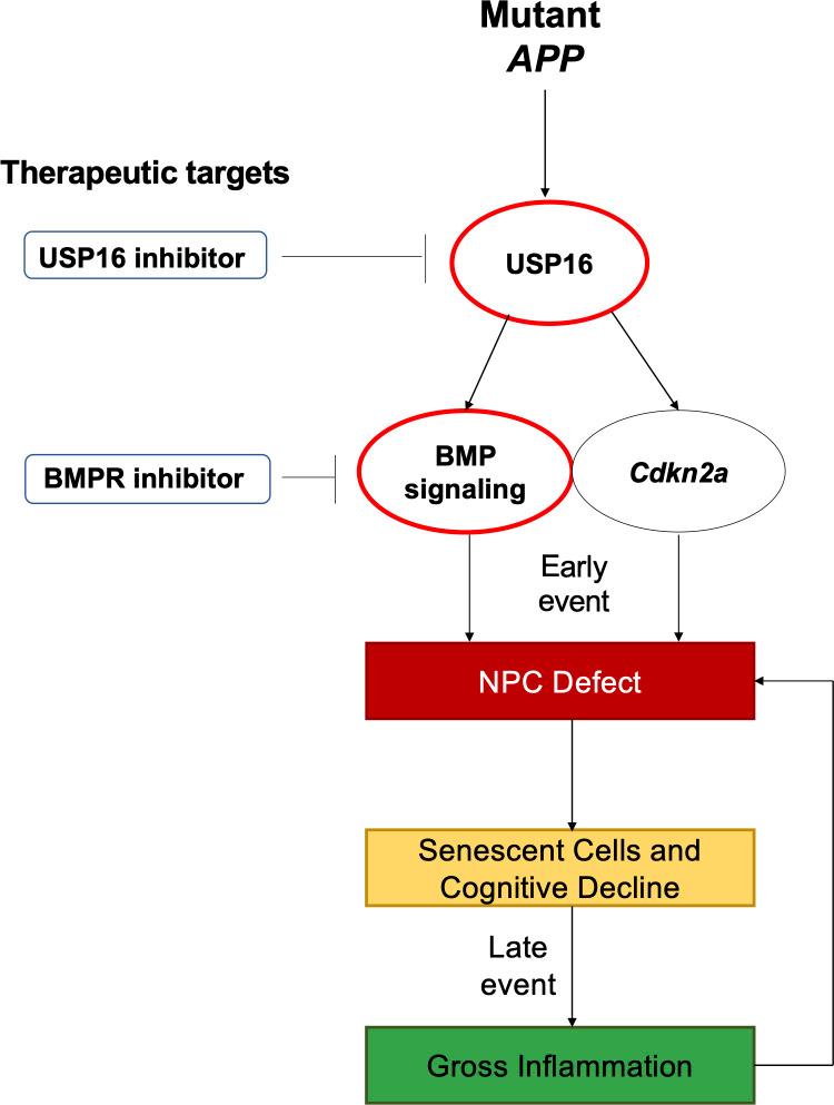 https://cdn.ncbi.nlm.nih.gov/pmc/blobs/87e3/9122497/73433aeae49b/elife-66037-fig1.jpg