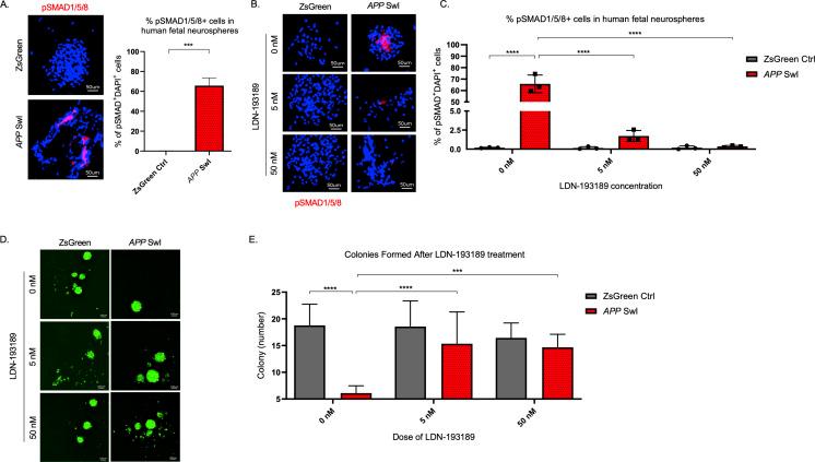 https://cdn.ncbi.nlm.nih.gov/pmc/blobs/87e3/9122497/73dd827c3bdd/elife-66037-fig6.jpg