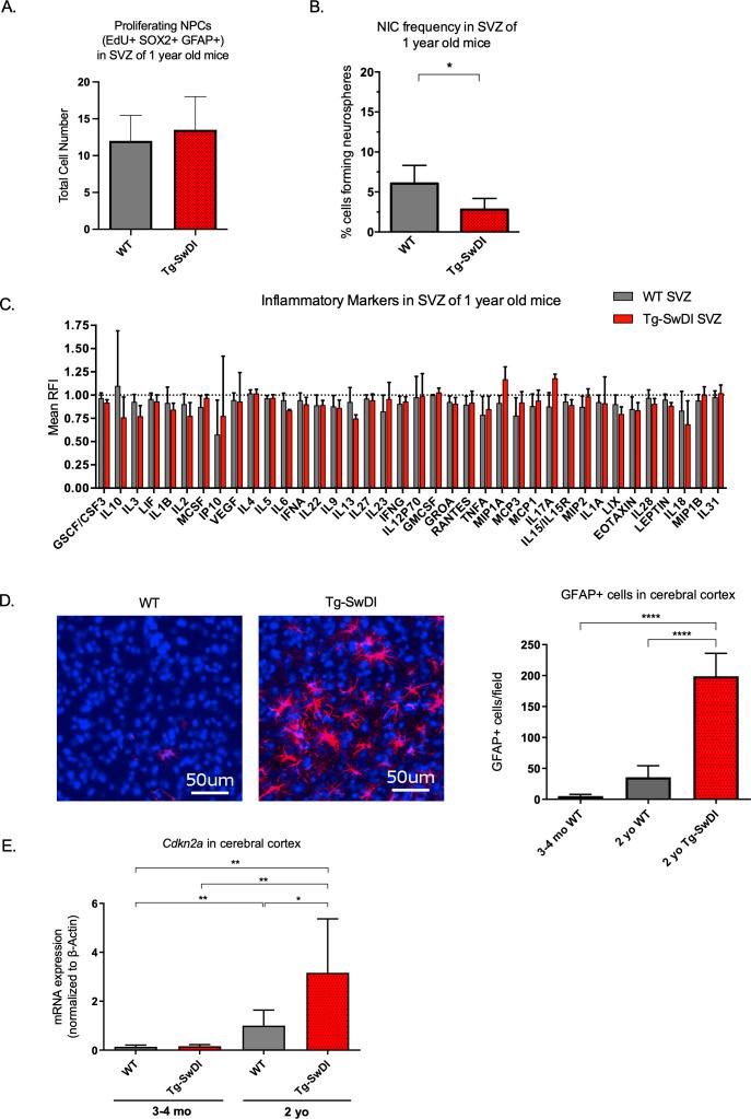 https://cdn.ncbi.nlm.nih.gov/pmc/blobs/87e3/9122497/a147fcc81214/elife-66037-fig3.jpg