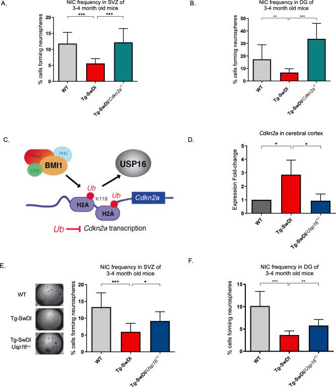 https://cdn.ncbi.nlm.nih.gov/pmc/blobs/87e3/9122497/a93d6038f2c8/elife-66037-fig4.jpg