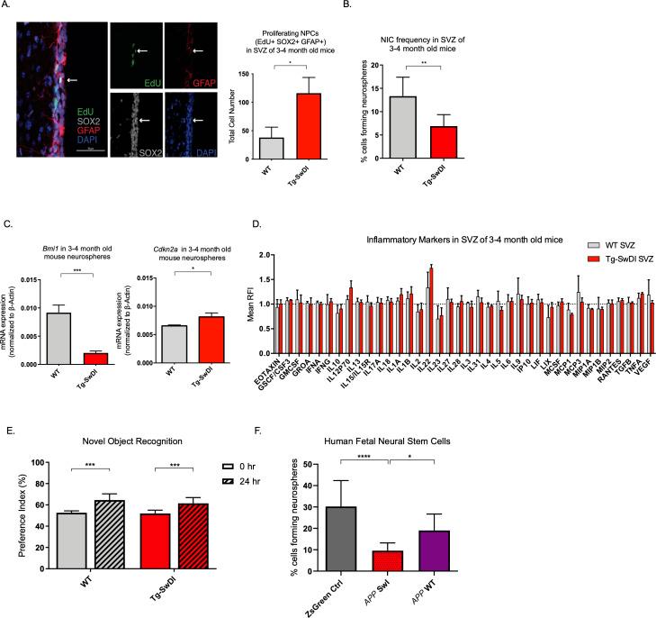 https://cdn.ncbi.nlm.nih.gov/pmc/blobs/87e3/9122497/efcbcca9e984/elife-66037-fig2.jpg