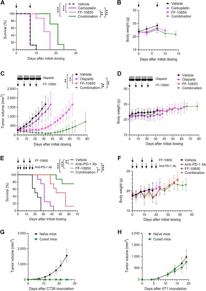 https://cdn.ncbi.nlm.nih.gov/pmc/blobs/87f0/10690090/f487aa3d7e03/1454fig6.jpg