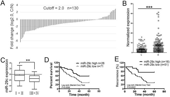 https://cdn.ncbi.nlm.nih.gov/pmc/blobs/881a/5964122/b403cb3d5faf/41598_2018_26381_Fig1_HTML.jpg