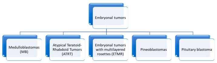 https://cdn.ncbi.nlm.nih.gov/pmc/blobs/8852/12071314/7880647b0b87/cancers-17-01566-sch002.jpg