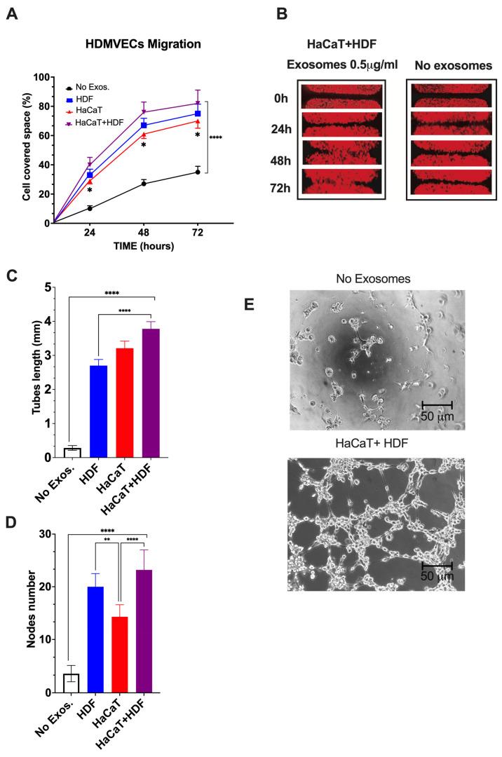 https://cdn.ncbi.nlm.nih.gov/pmc/blobs/88c1/10378127/d662426f969e/cells-12-01827-g007.jpg