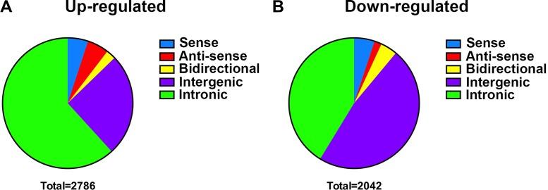 https://cdn.ncbi.nlm.nih.gov/pmc/blobs/88ce/5762536/1f23999ec4df/oncotarget-08-112623-g004.jpg