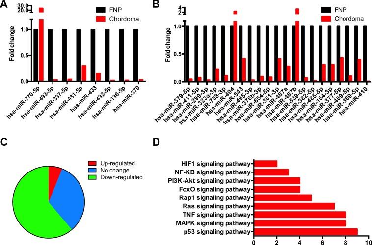 https://cdn.ncbi.nlm.nih.gov/pmc/blobs/88ce/5762536/64ac8627548b/oncotarget-08-112623-g006.jpg